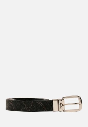Correa Snake Skin
